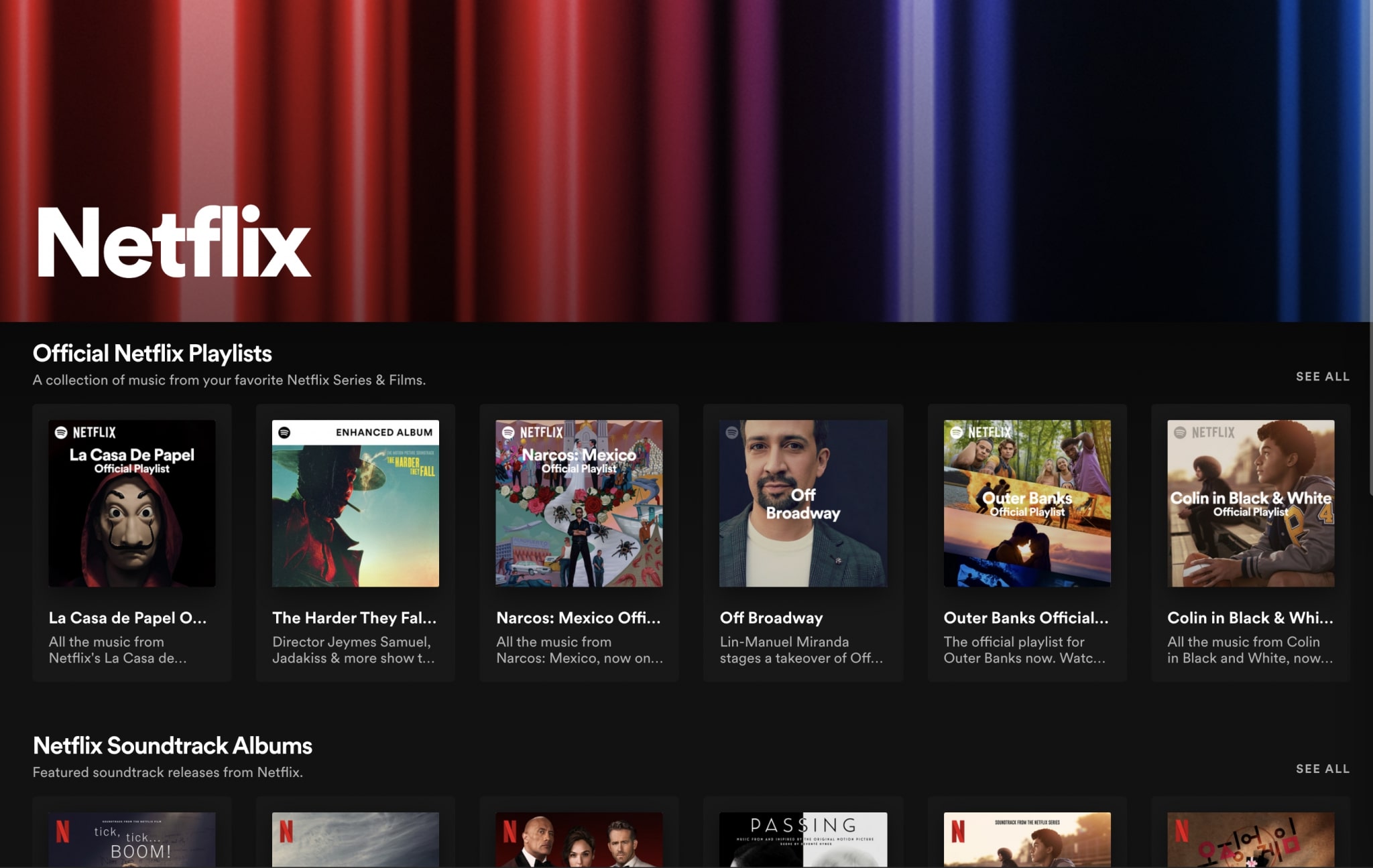 Spotify Netflix hub screen shot