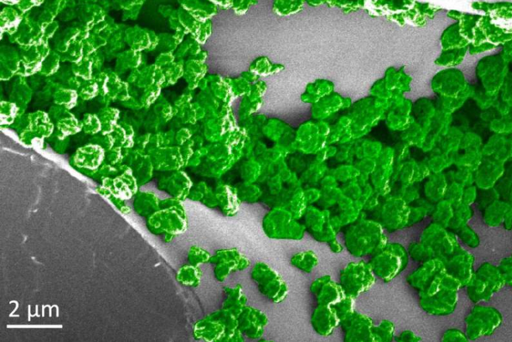 Light-emitting plant nanoparticles