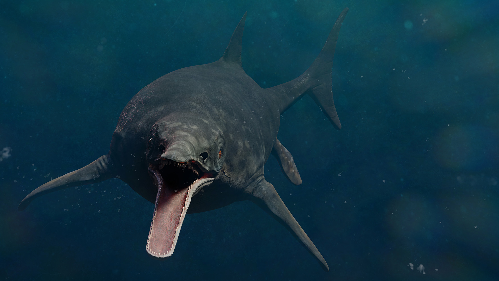 Ocean predator I just discovered. Reminds me of dunkleosteus in a