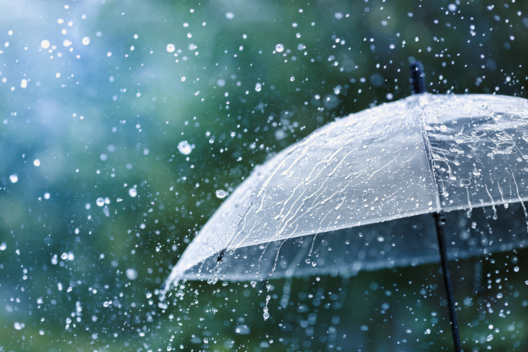 rain on umbrella