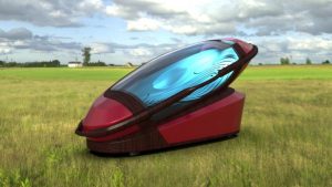 Assisted Suicide A Sacro suicide pod in an open setting