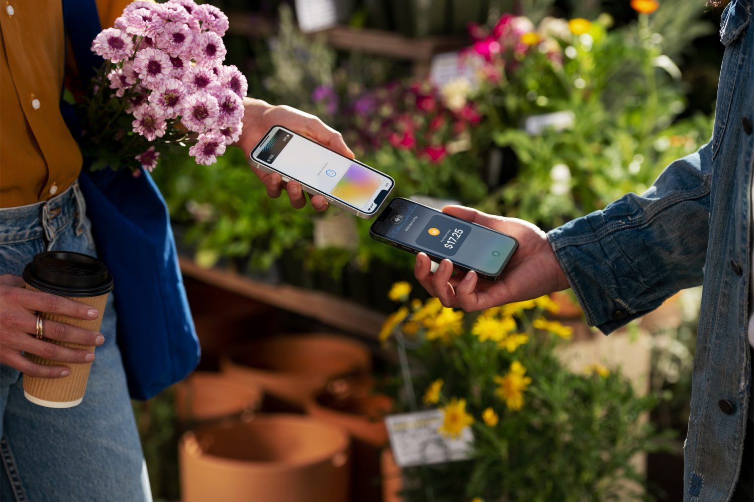 How to find the current Daily Cash promotions for your Apple Card