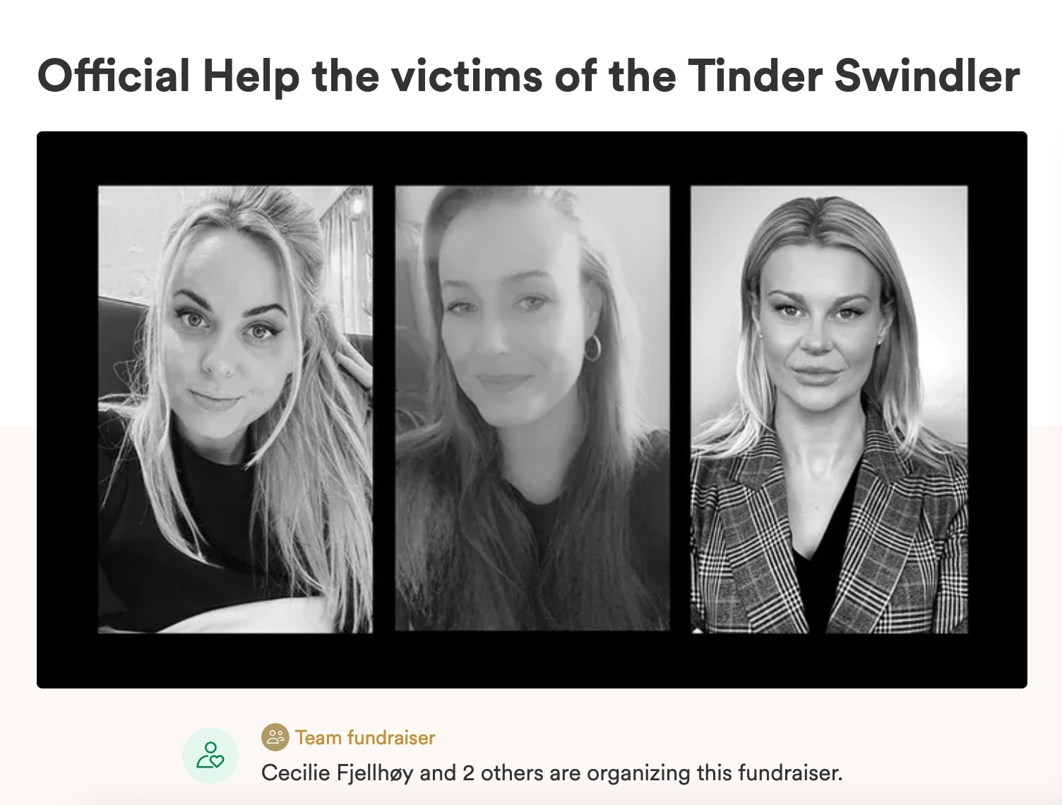 screenshot of tinder swindler gofundme