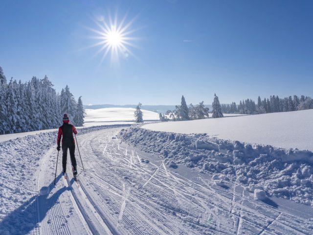 Frozen Penis A person cross-country skiing in beautiful weather.