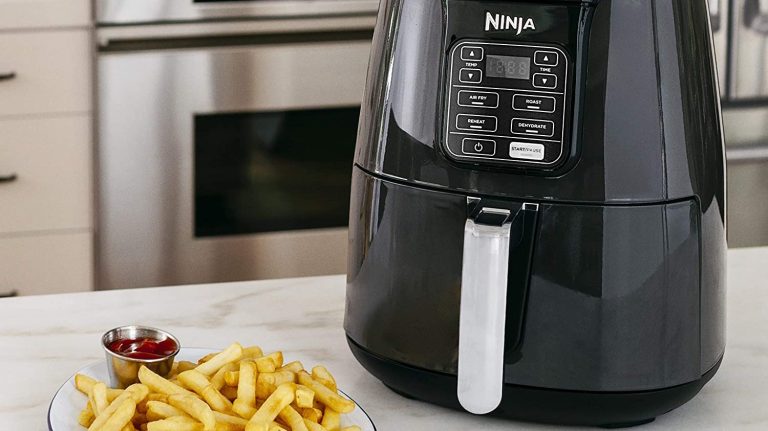 Ninja air fryer with French fries