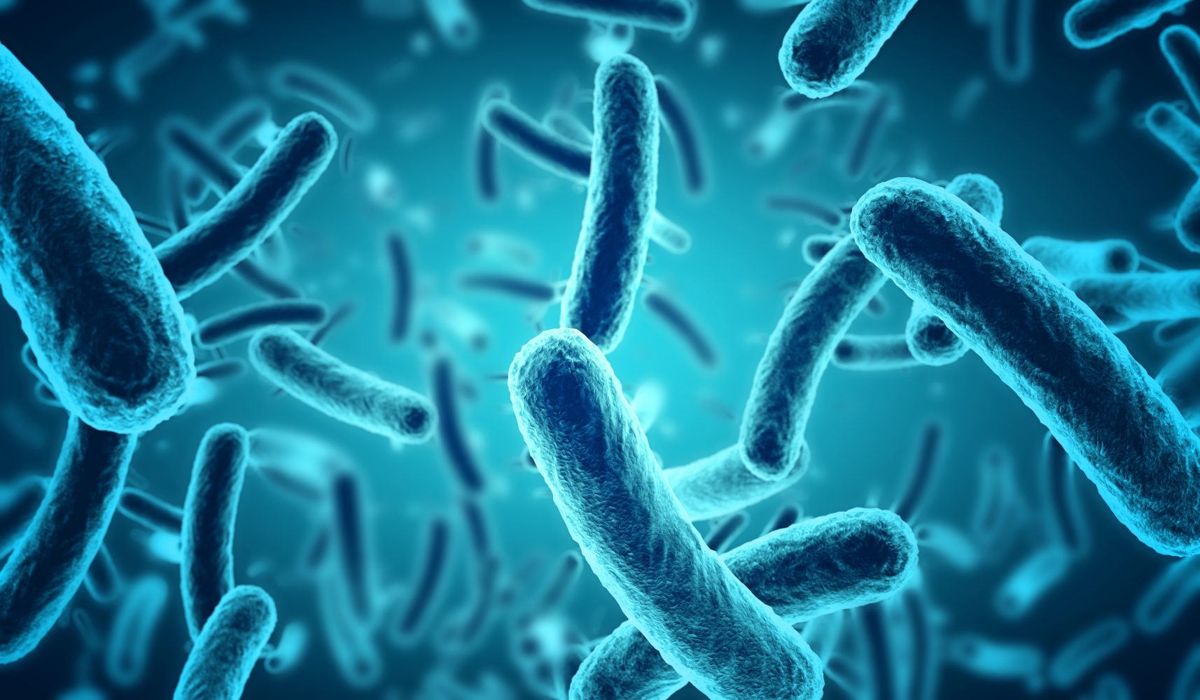 This crazy bacteria doesn’t breathe oxygen