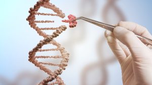 Genetic engineering and gene manipulation