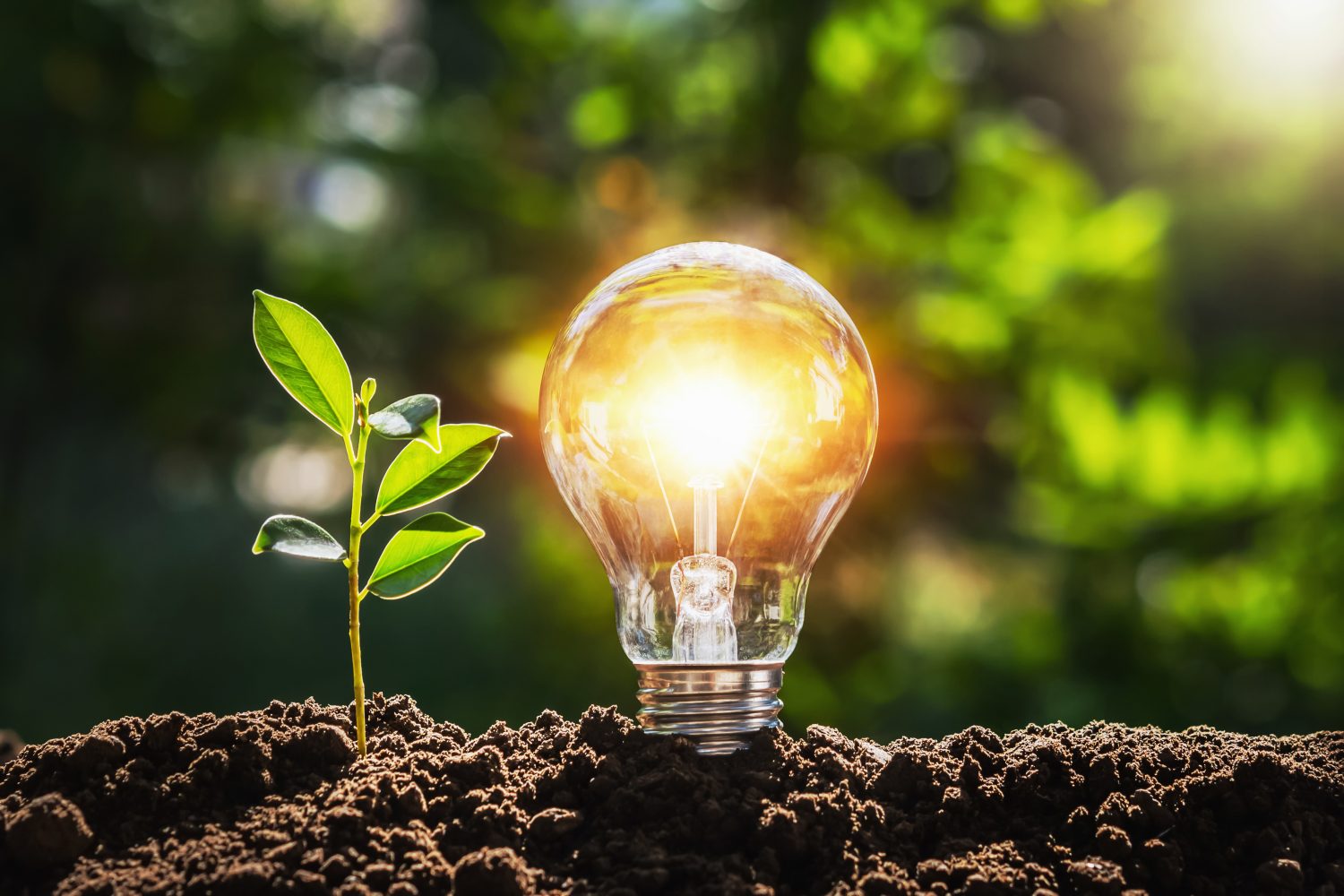 Scientists may have found a clean energy source hidden under the Earth