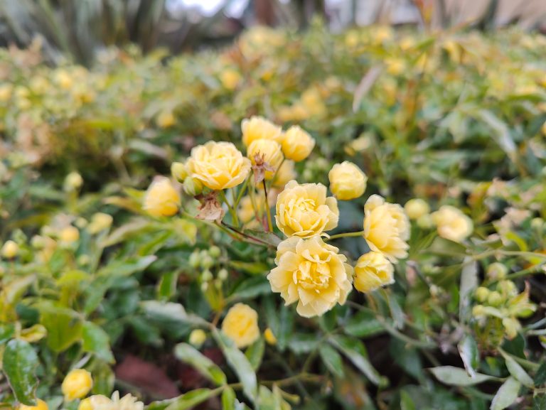 Test du OnePlus 10 Pro 9 IMG20220325093630