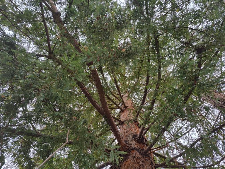 Test du OnePlus 10 Pro 10 IMG20220325093727