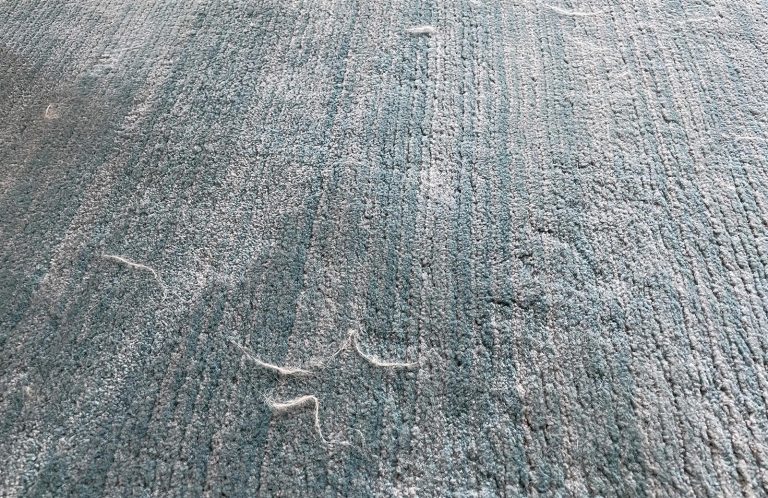 Carpet covered with dog hair