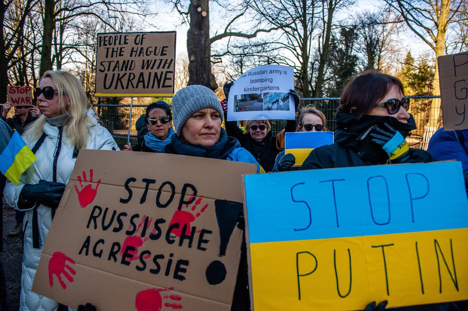 protestors hold up pro-Ukraine signs