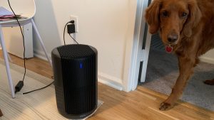A dog near an air purifier