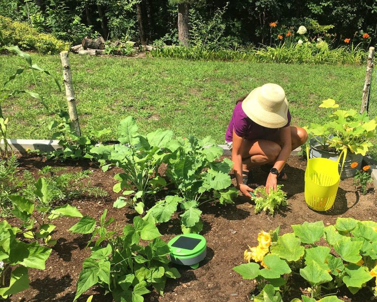 Tertil Garden Weeding Robot has a price discount