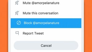 Blocking someone on Twitter.