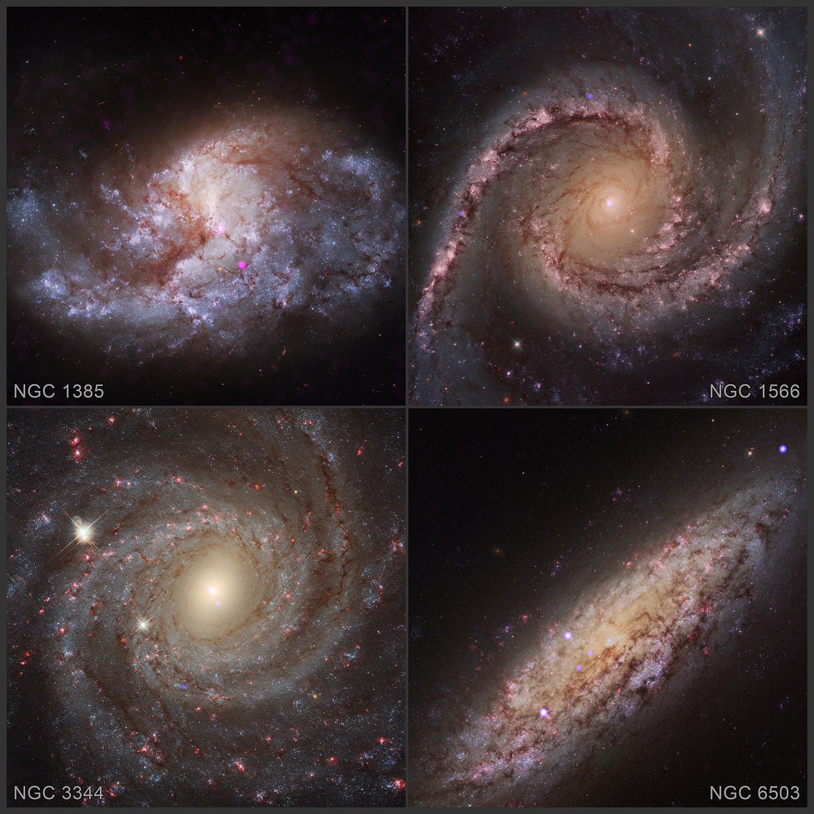 growing black holes in galaxies