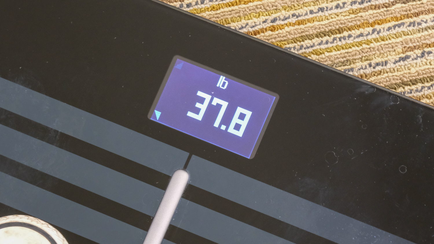 Withings Body Cardio Scale review: A stylish smart scale that isn't worth  the extra cash - CNET