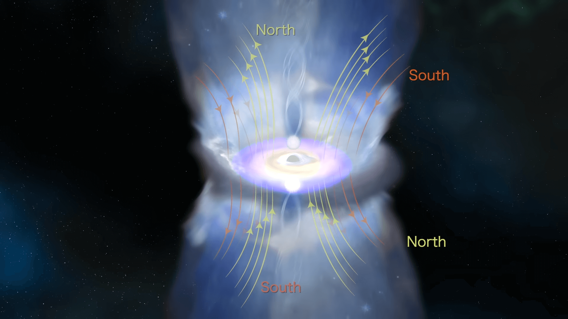 magnetic reversal in a black hole