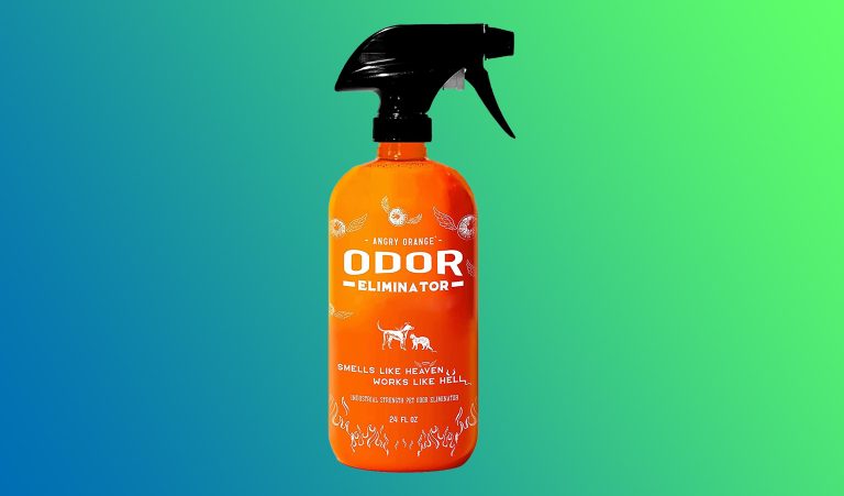 Best carpet cleaners for pet messes: ANGRY ORANGE Citrus Pet Odor Eliminator Spray and Stain Remover