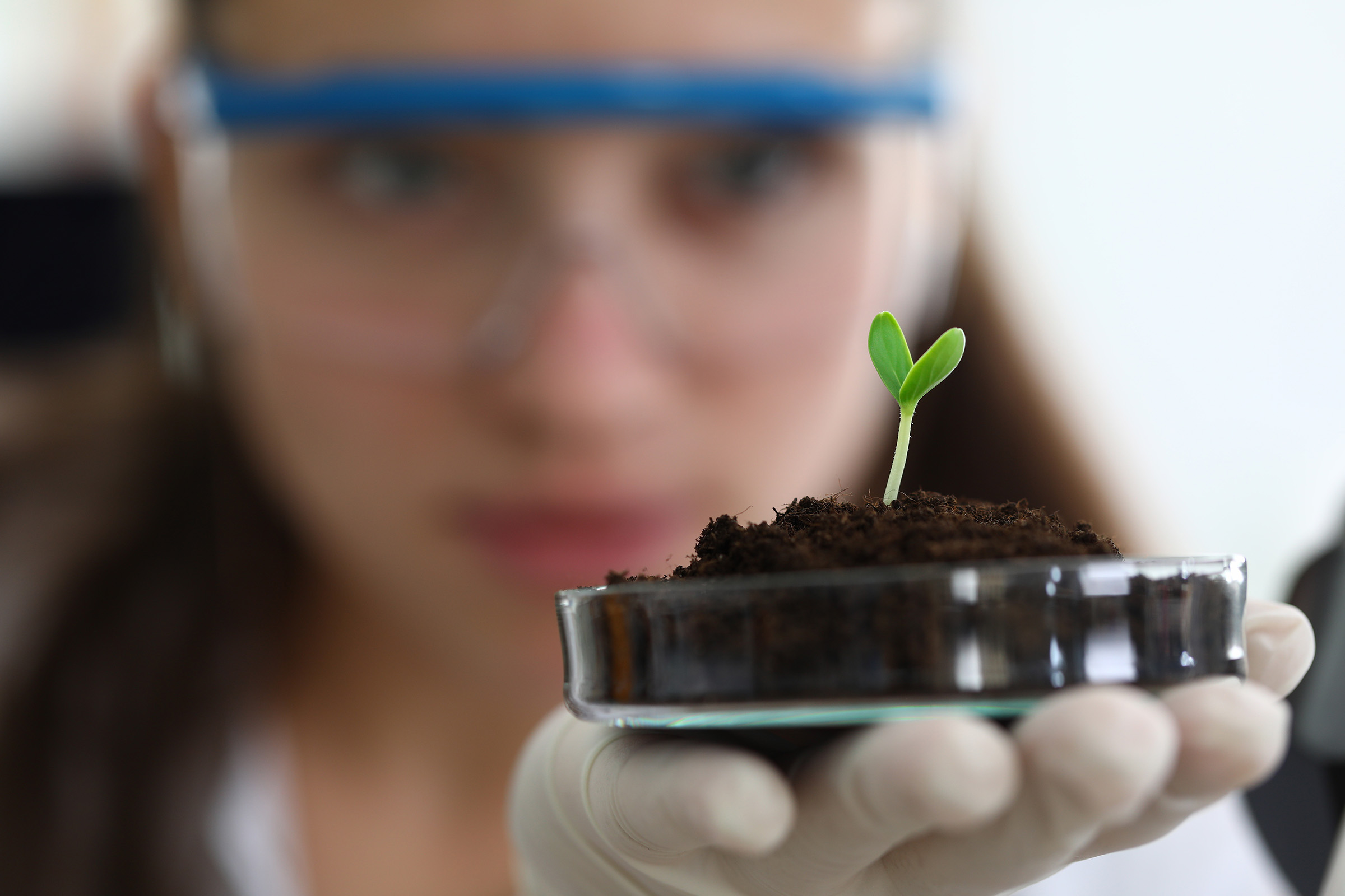 Just as scientists grow plants in the laboratory, scientists will grow plants in lunar soil.