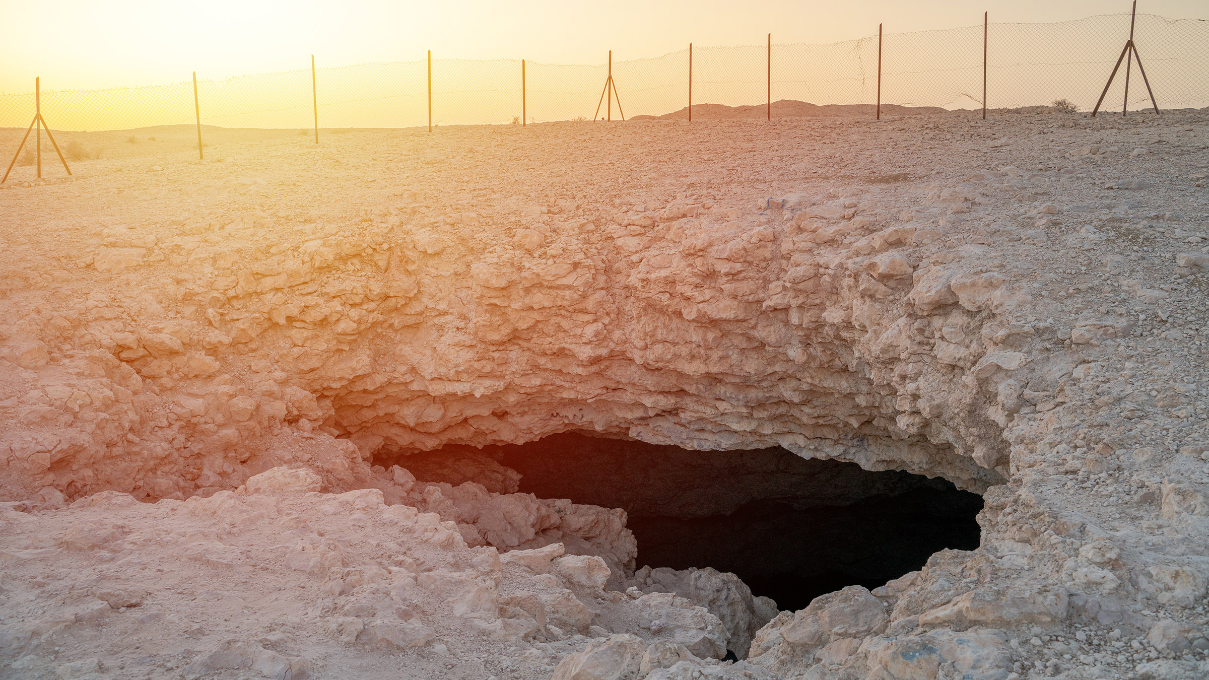 Scientists uncovered an entire forest hidden inside a sinkhole in China ...