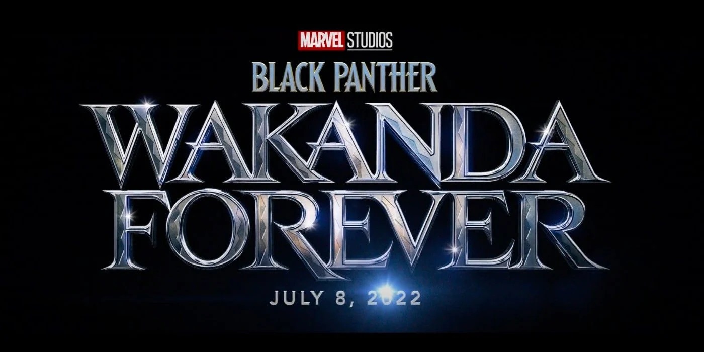 1658968082Wakanda forever png, black panther png (2).png