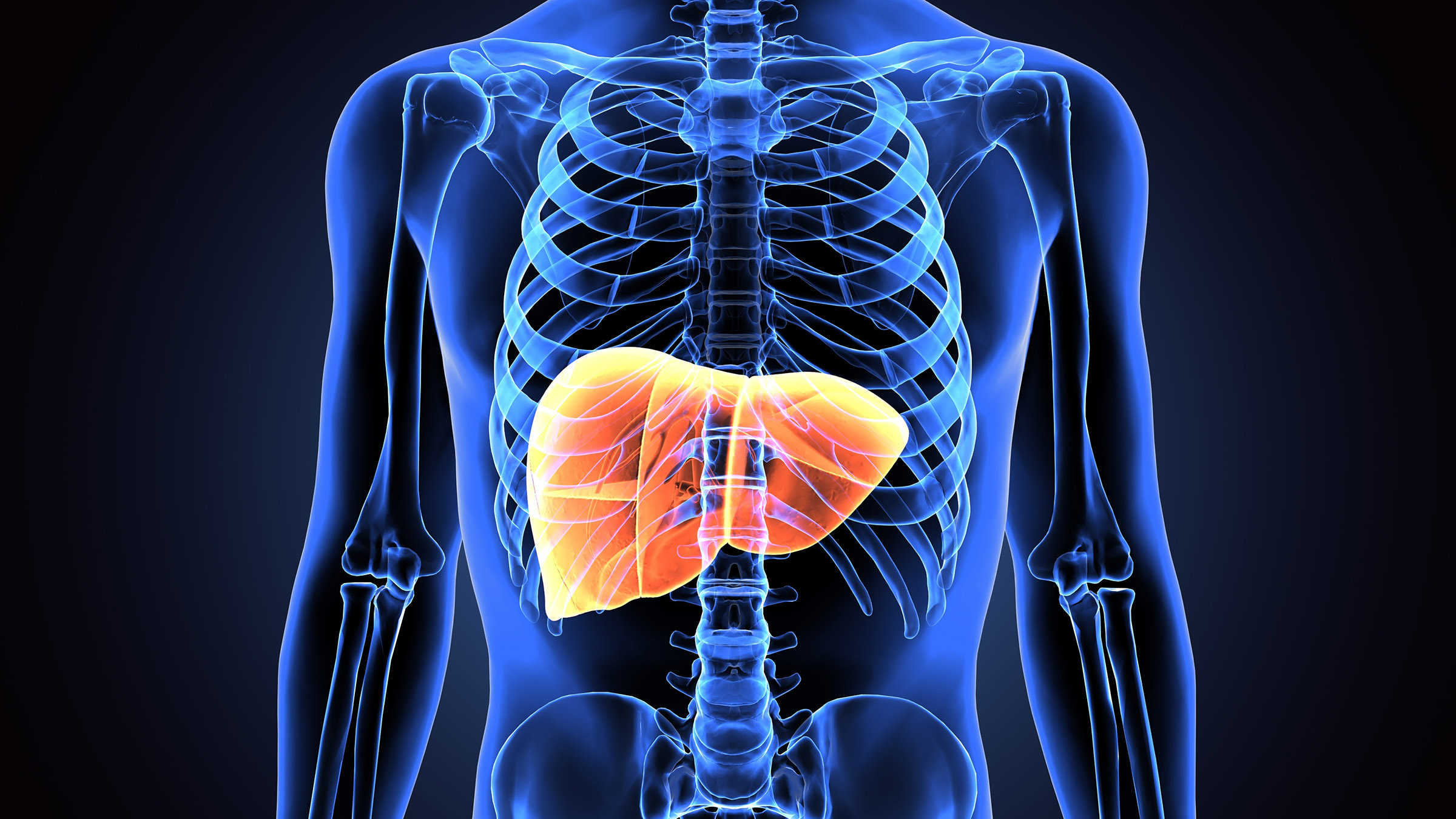 new liver disease treatment will grow tiny livers in human body