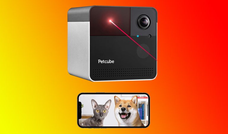 Prime Day Deals For Pets: Petcube Play 2 Camera