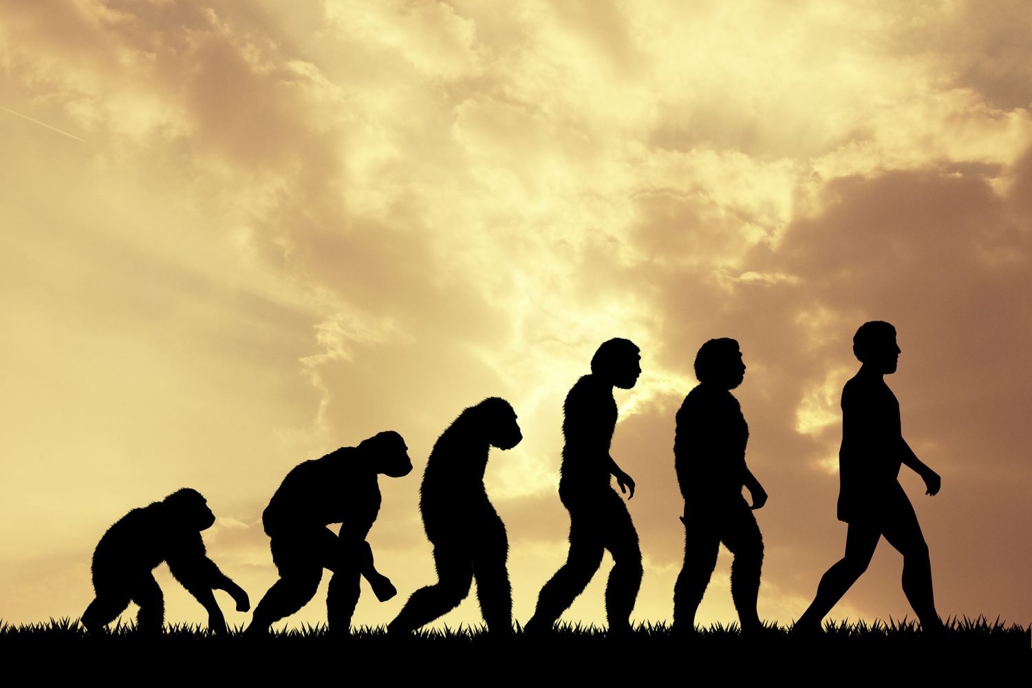 Scientists just uncovered a shocking twist in the story of human evolution