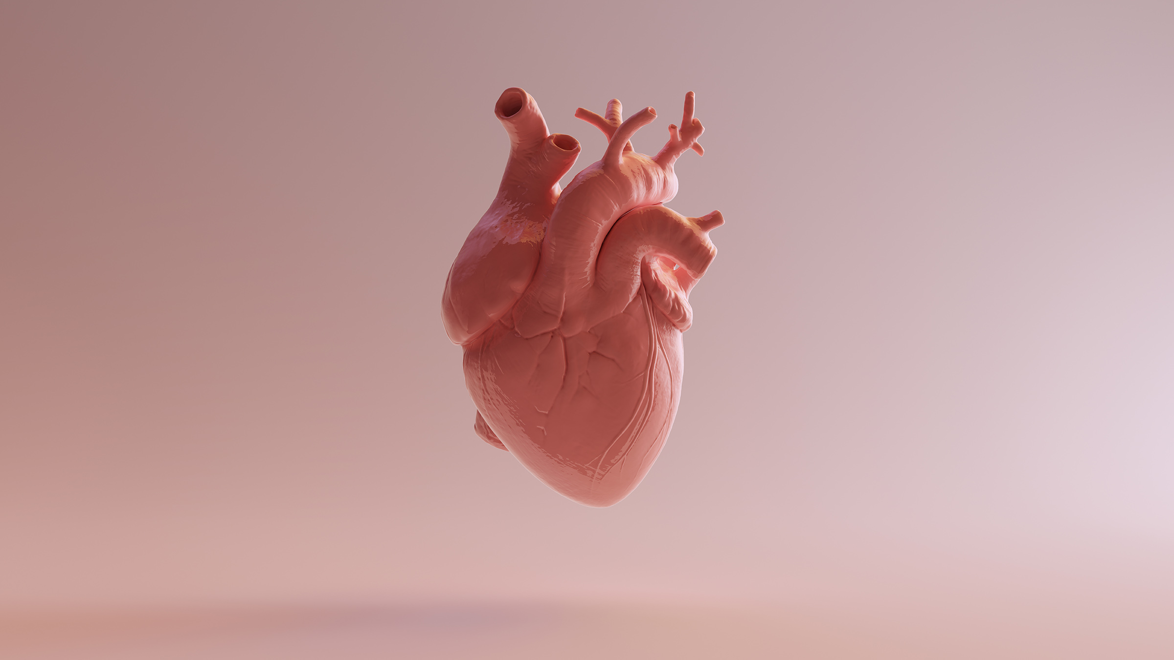 we may soon be able to revive dead organs, like a human heart