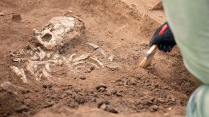 origin of mankind origin of mankind may be found in fossils