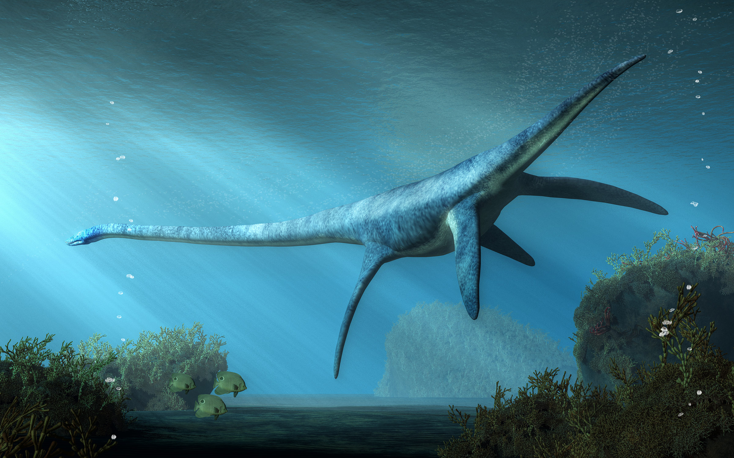 plesiosaur in water