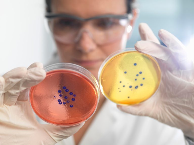 scientists examines unknown bacteria