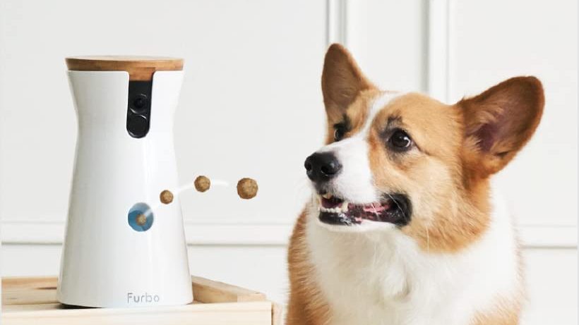 Furbo dog camera