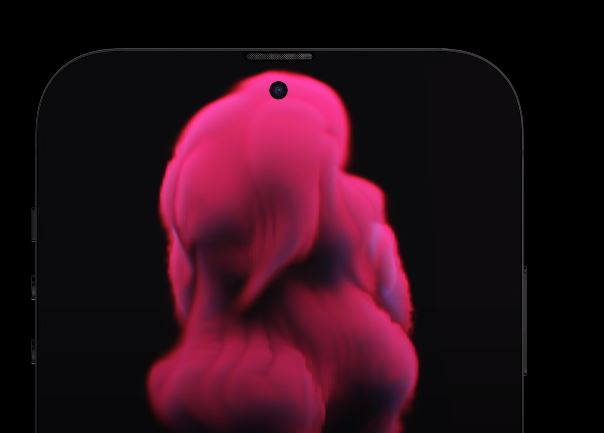 Possible iPhone 14 Pro camera cutout.