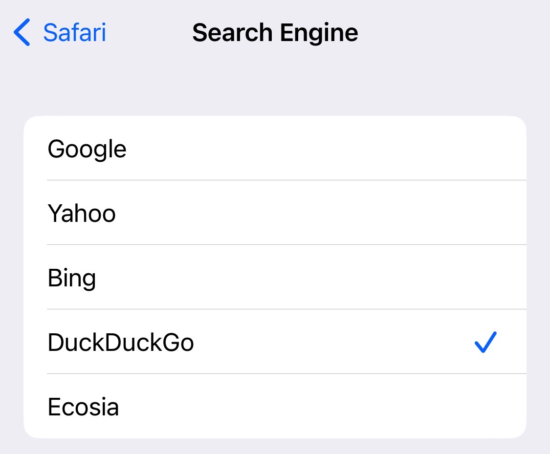 iPhone Safari: The search engine options.