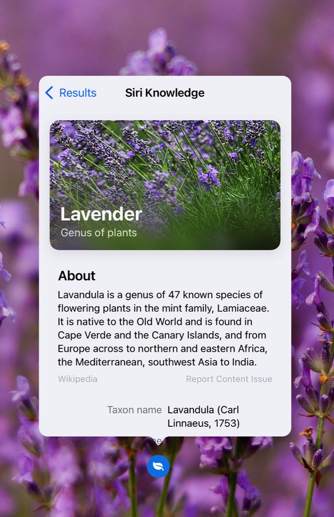 Siri Knowledge identifying plants and flowers on an iPhone running iOS 15.