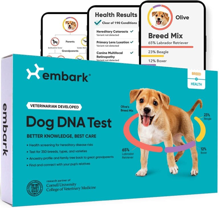 Embark Dog DNA Test Kit deals