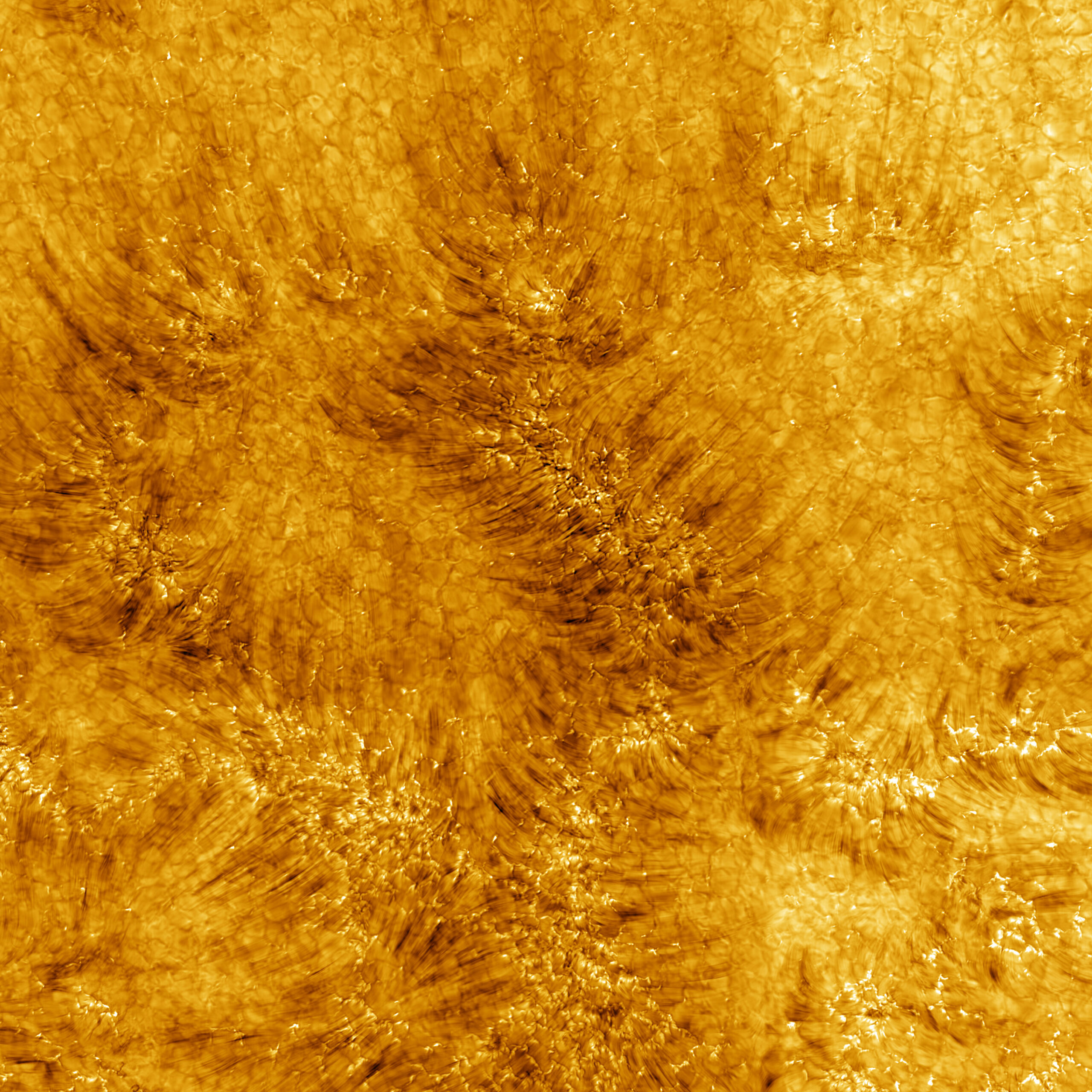 A Close-Up of the Sun - The New York Times