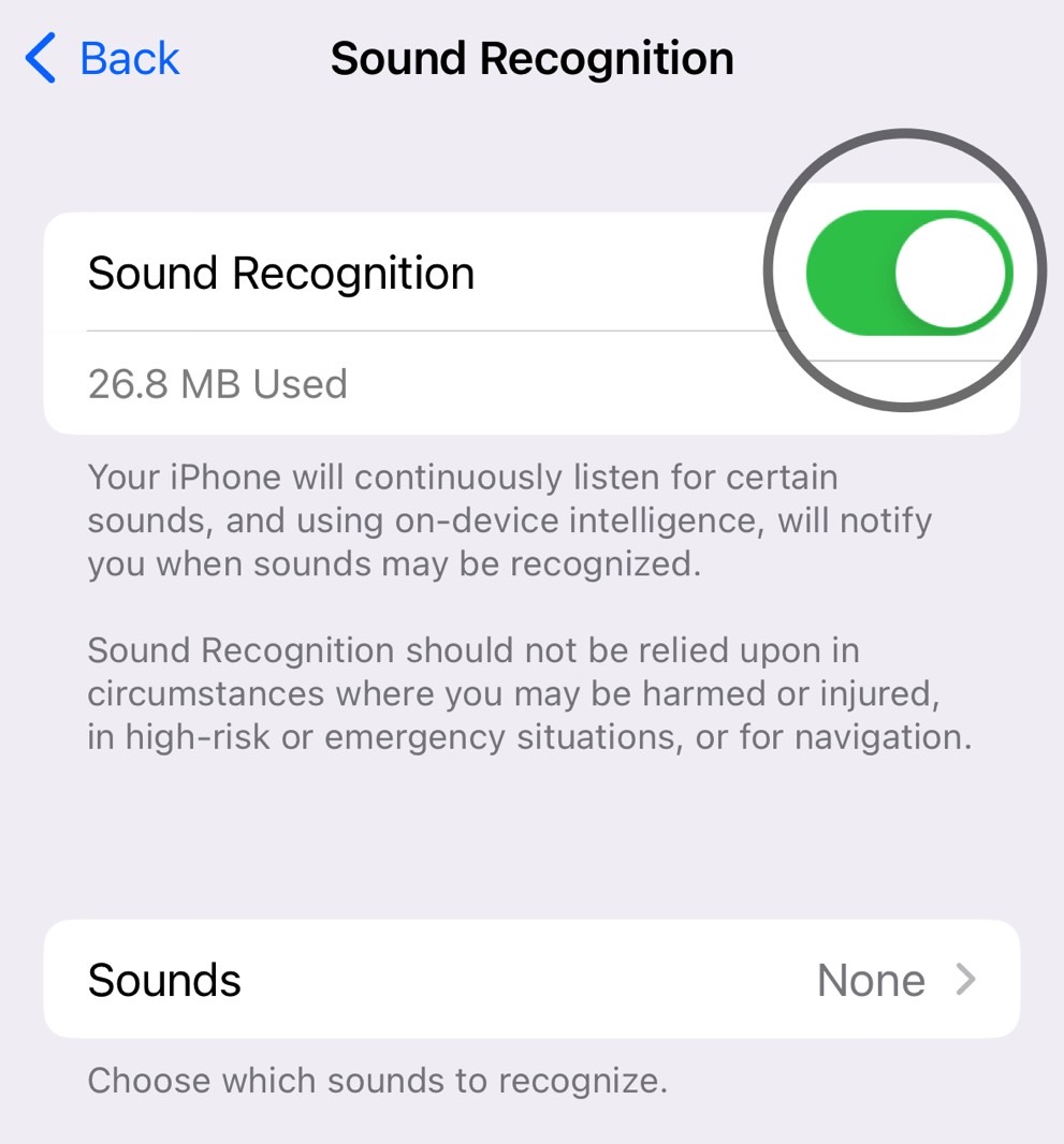 The Sounds menu lets you enable all the sounds you want the iPhone to pay attention to.