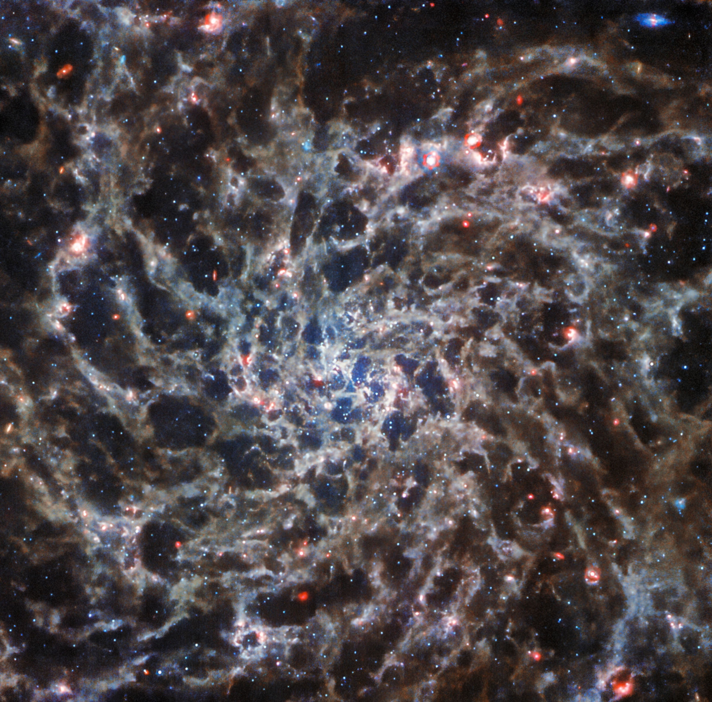 James Webb image of galaxy skeleton