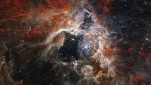 James Webb capture of the Tarantula Nebula