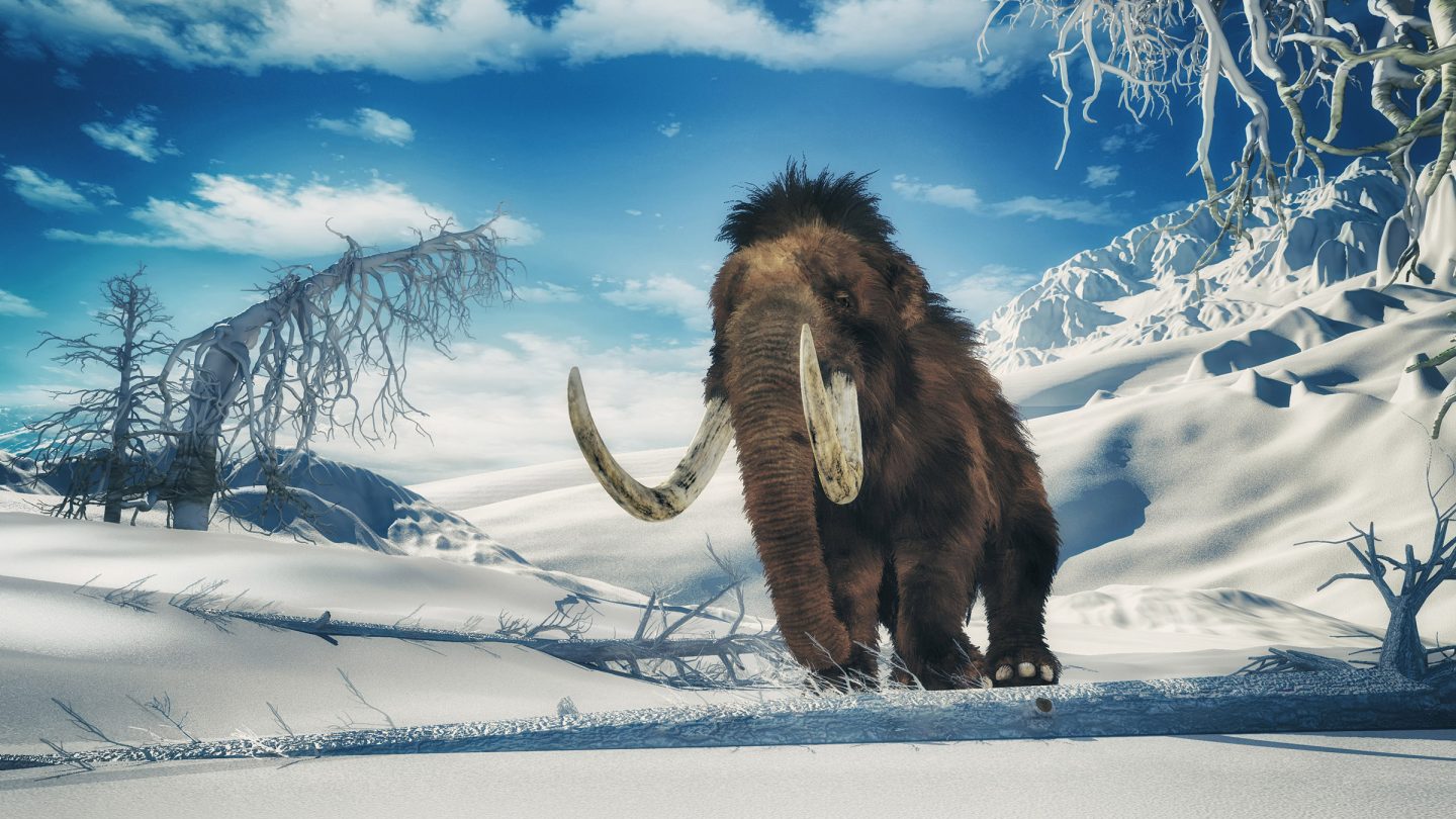 Reports say the CIA is trying to resurrect woolly mammoths BGR