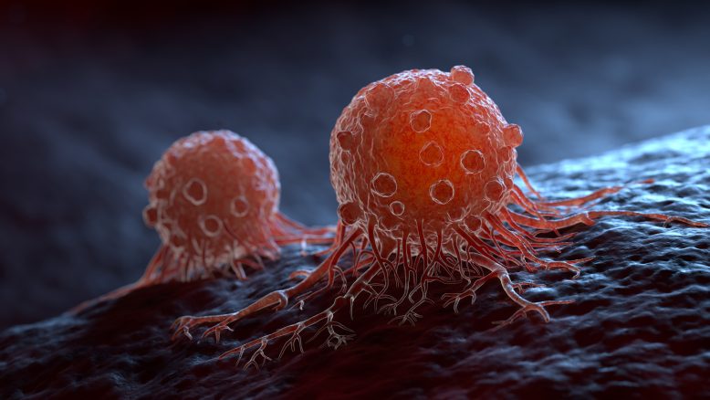 Scientists found a molecule that destroys even the worst cancers in mice