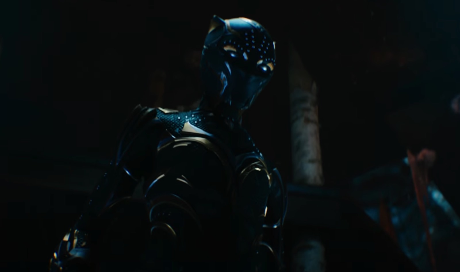 Charotar Globe Daily Trailer 2 gives us the best Black Panther teaser so far.