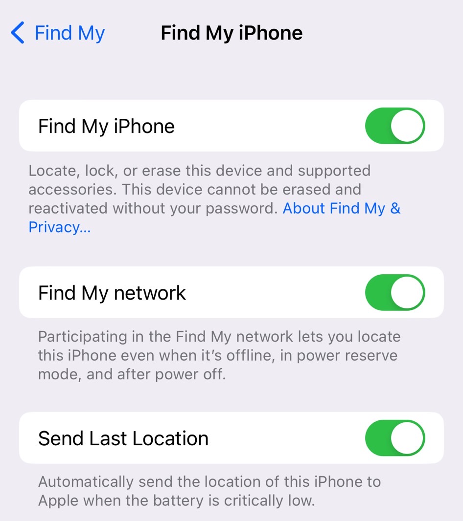 Change this iPhone setting to thwart thieves who might steal your phone | BGR