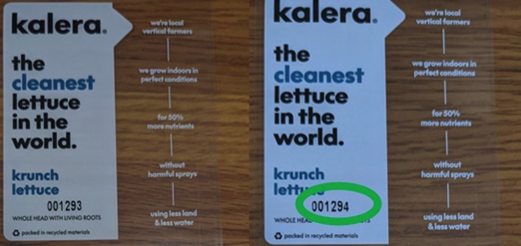 Kalera lettuce recall: Product label for Krunch Lettuce showing the two lot numbers.