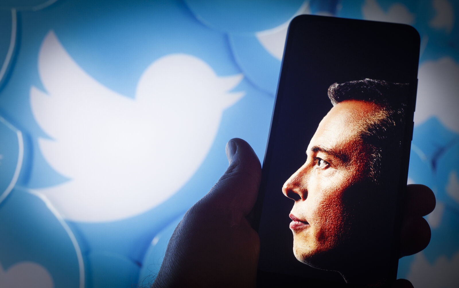 Twitter Blue relaunch might not happen, but encrypted DMs are a top priority