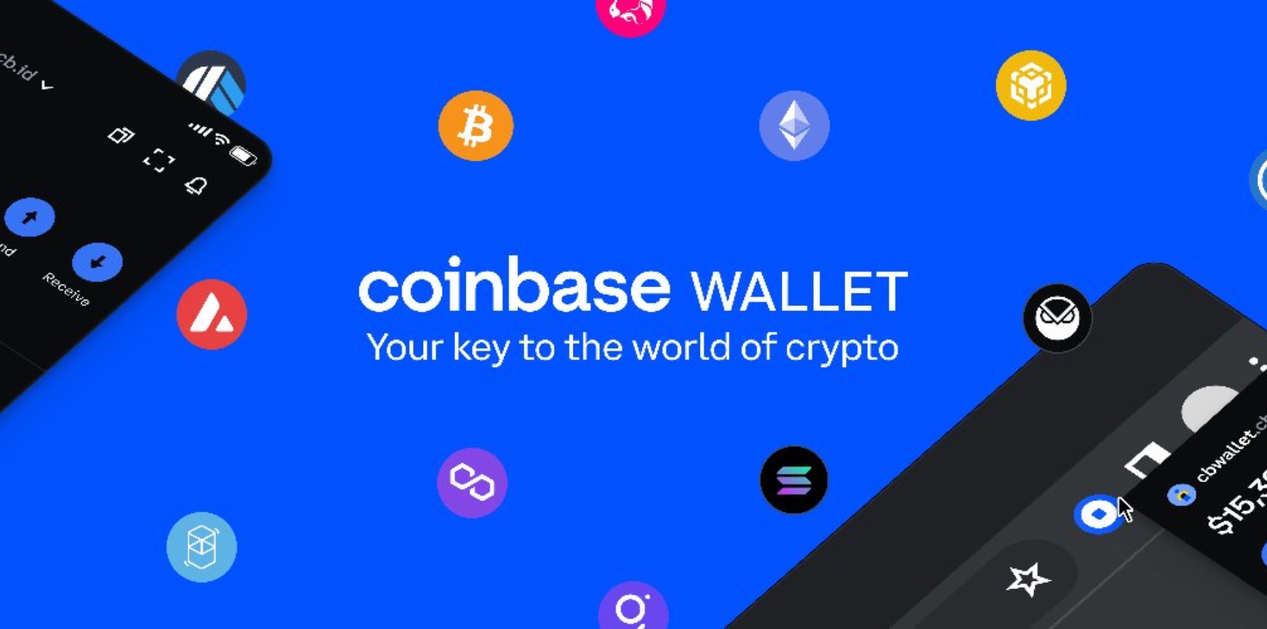 Coinbase Wallet app says Apple blocked update for offering NFTs