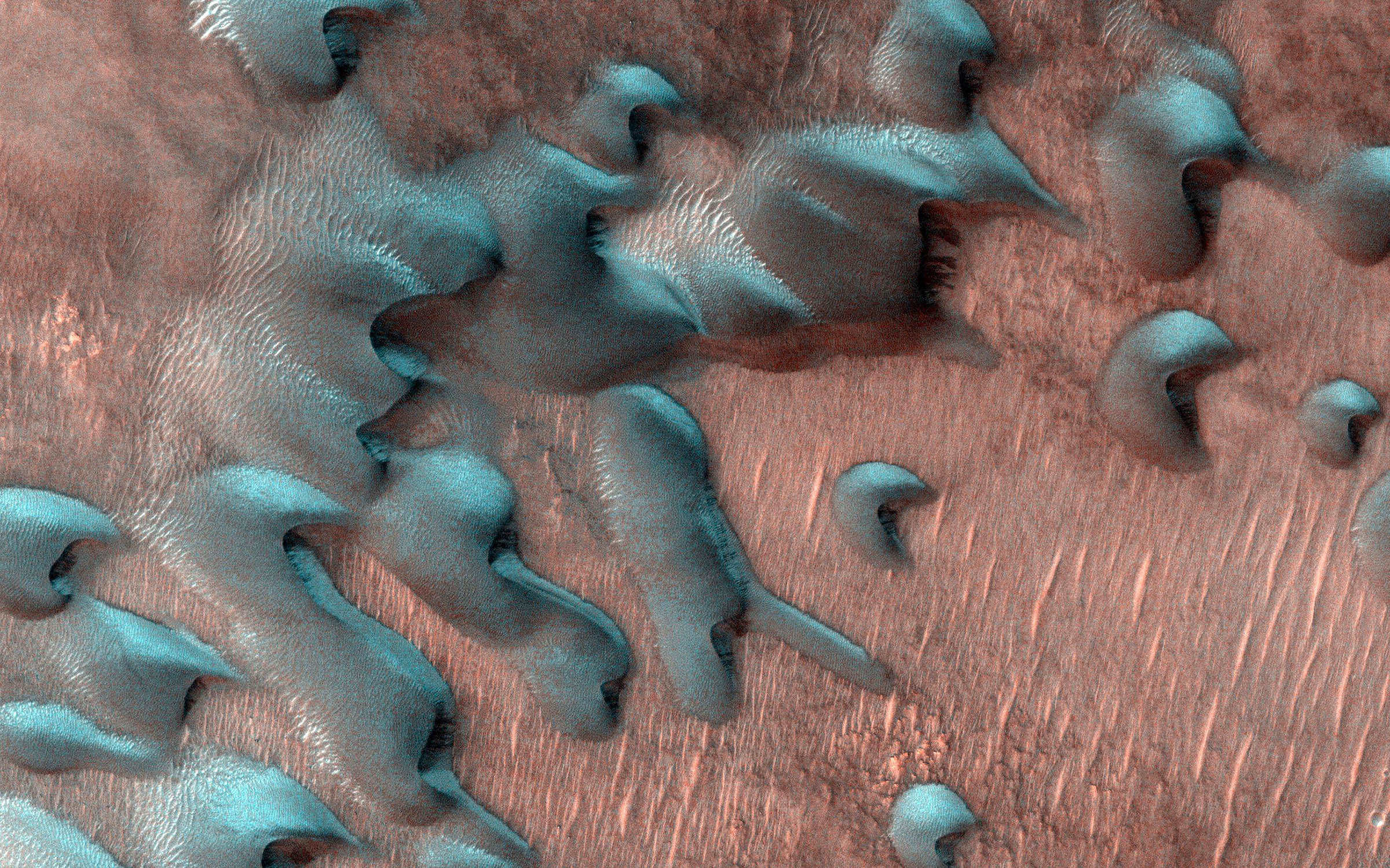 winter on Mars leaves frost on the dunes